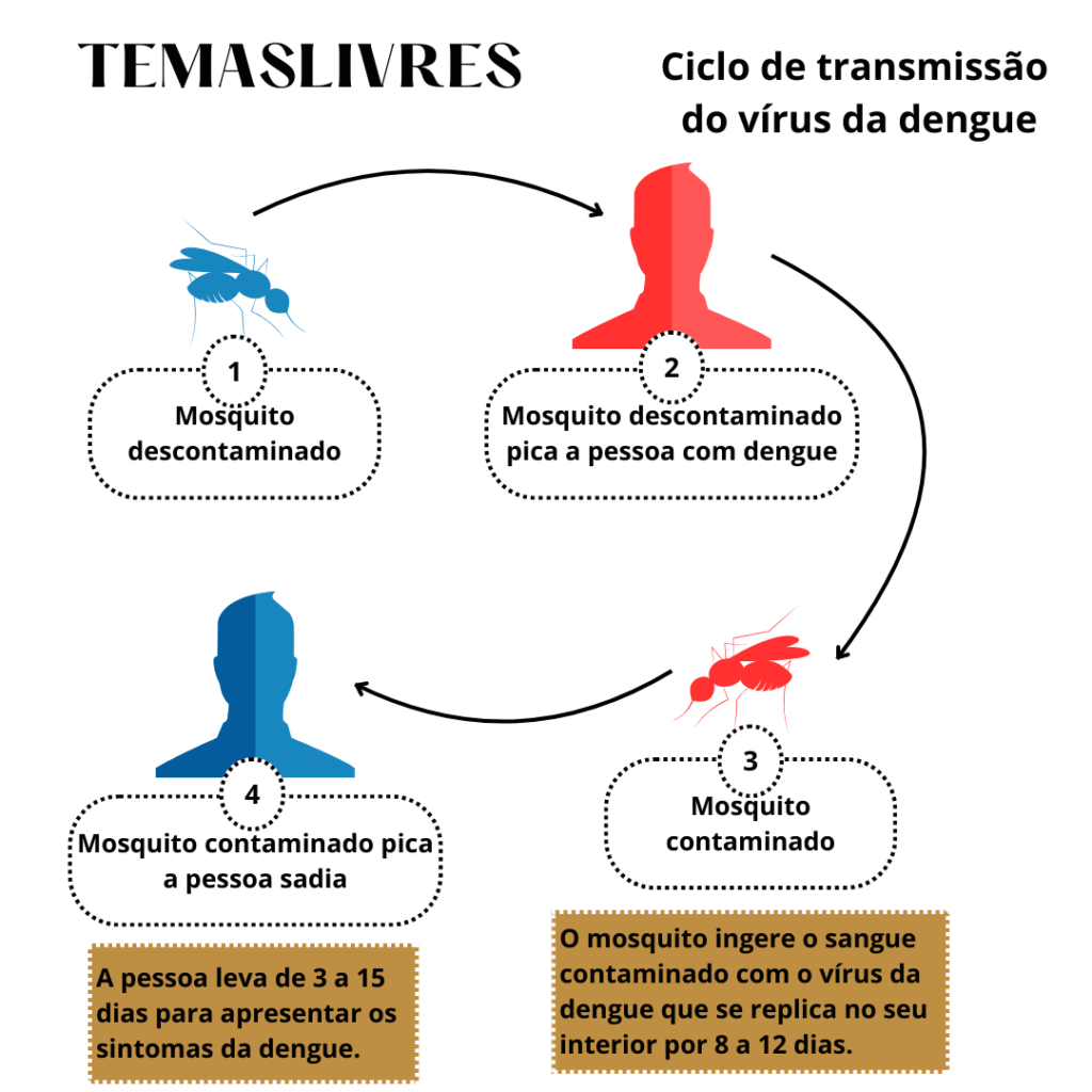 Ciclo de transmissão do vírus da dengue